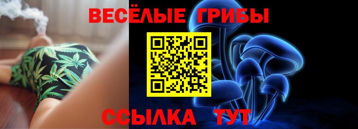 Псилоцибиновые грибы Magic Shrooms  Вход с VPN  Дедовск  Псилоцибиновые грибы Psilocybe 